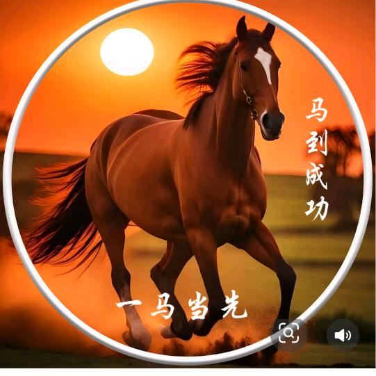 红杉树Z