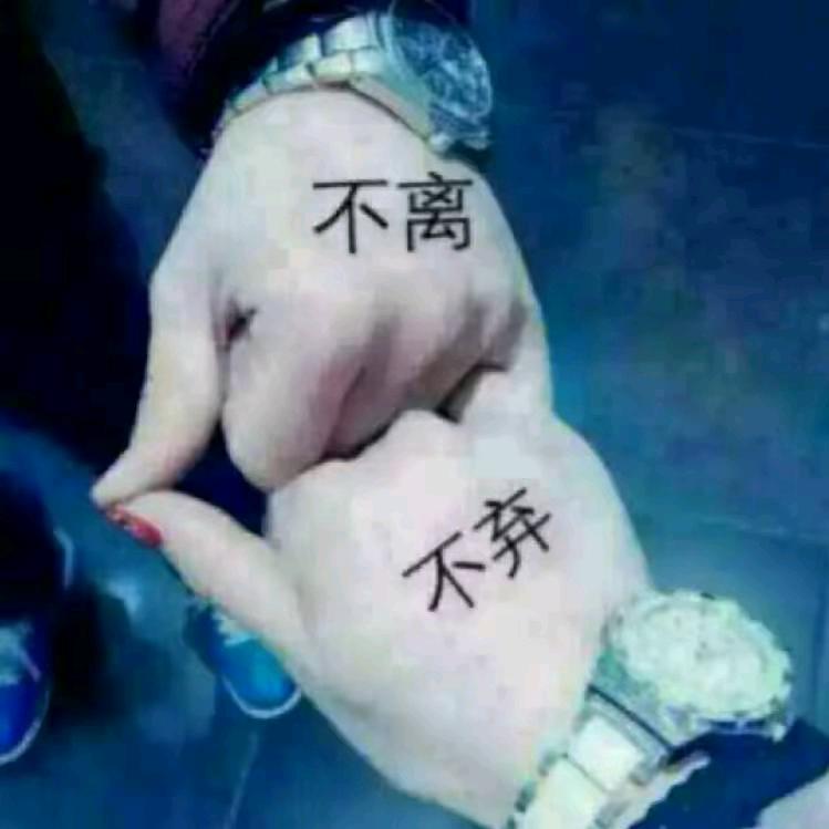 🐲🐲钟爱一生🐲🐲