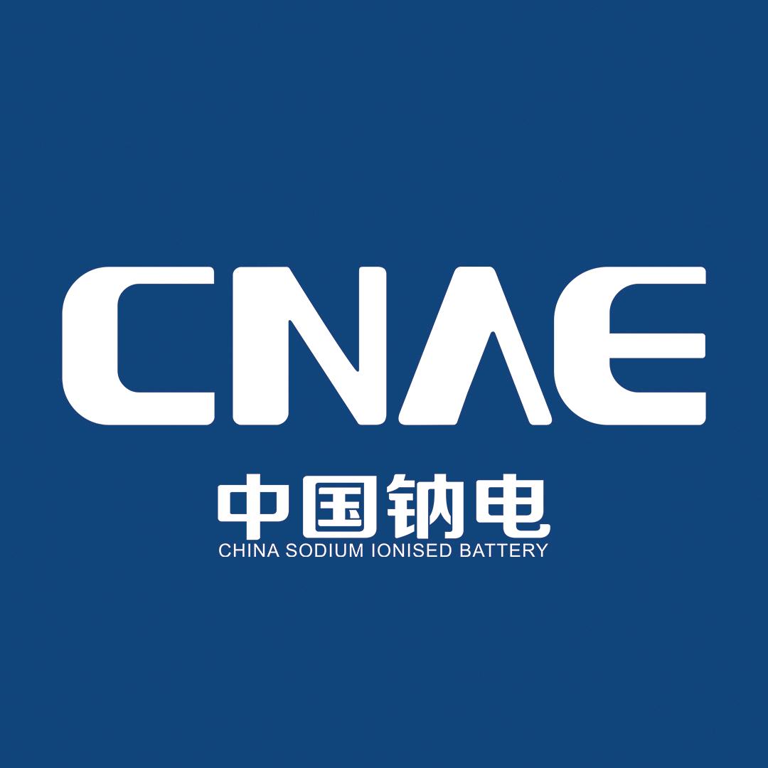 CNAE中钠能源