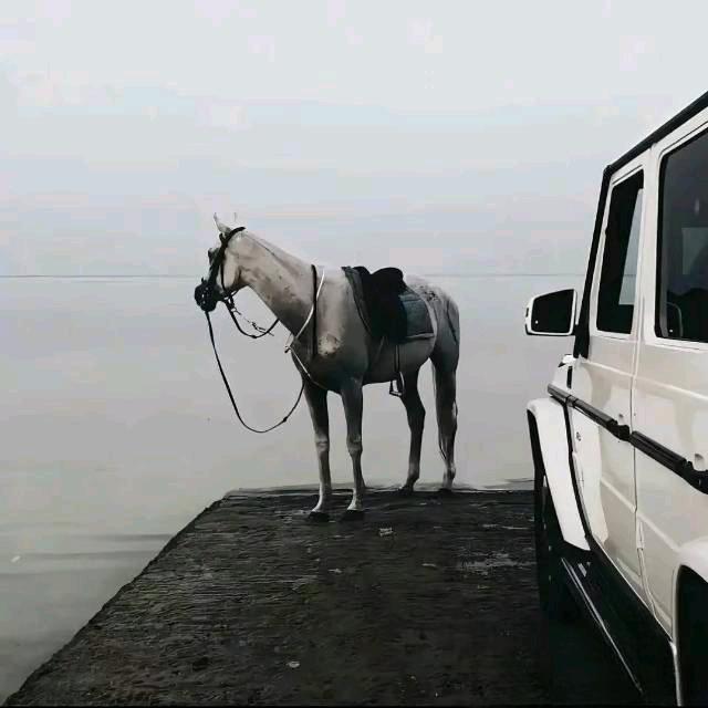.7