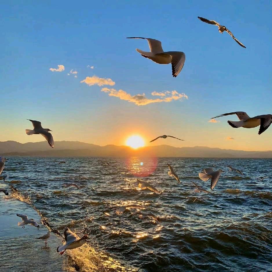 白云驾校徐教练