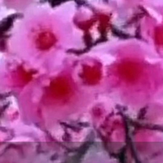 用户7648741492767一生快乐