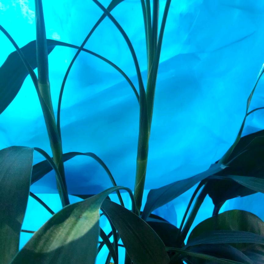 浏浏
