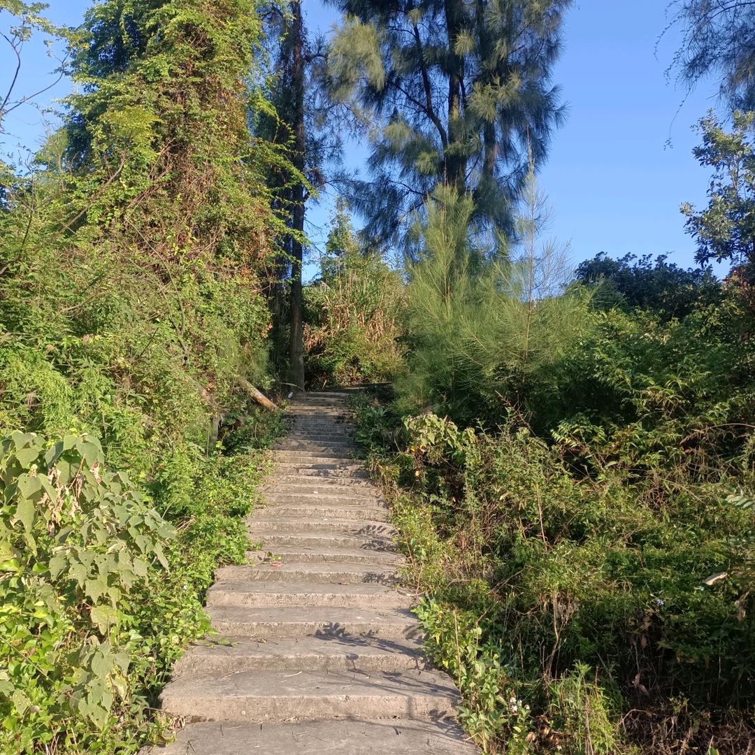 东林手工潮鞋