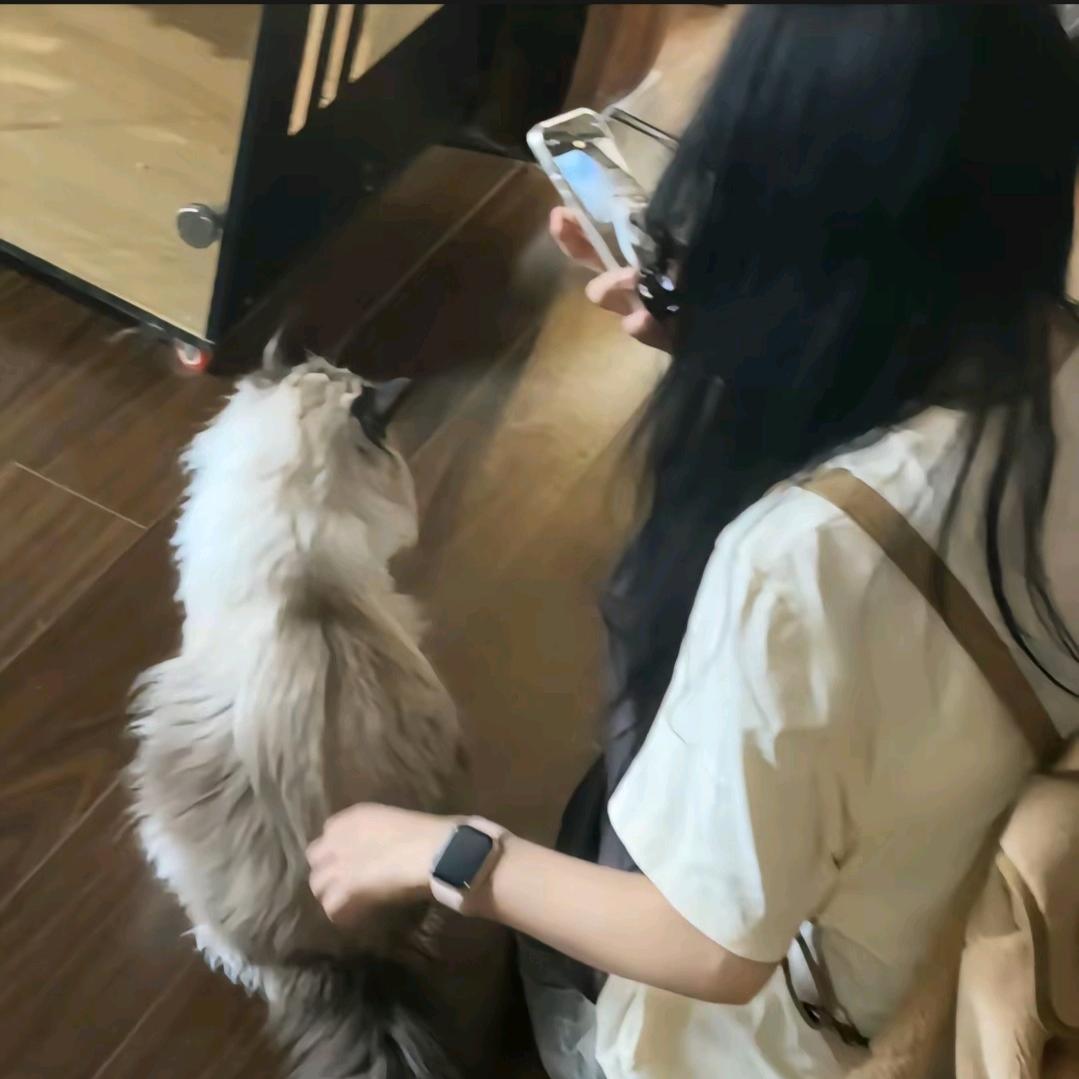 树台