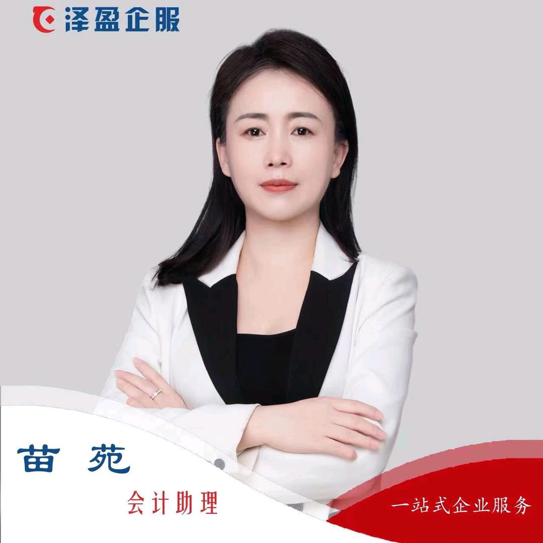 苗苑—税务筹划