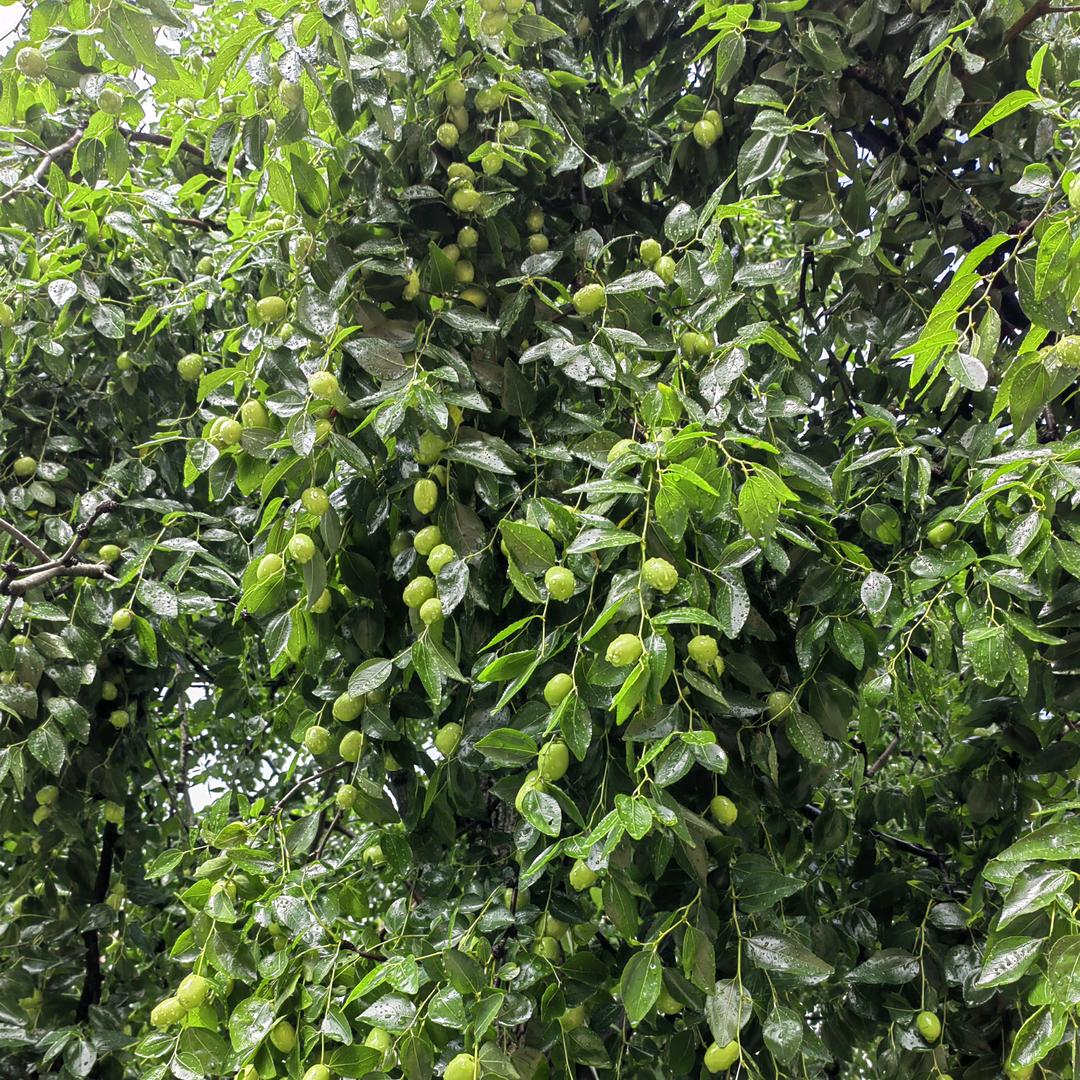 @小小 记忆《拒绝私聊》