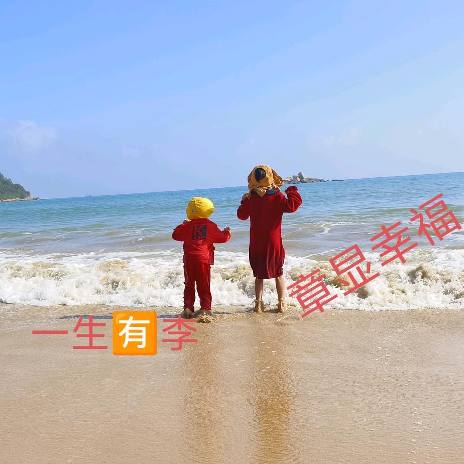 顺李成章