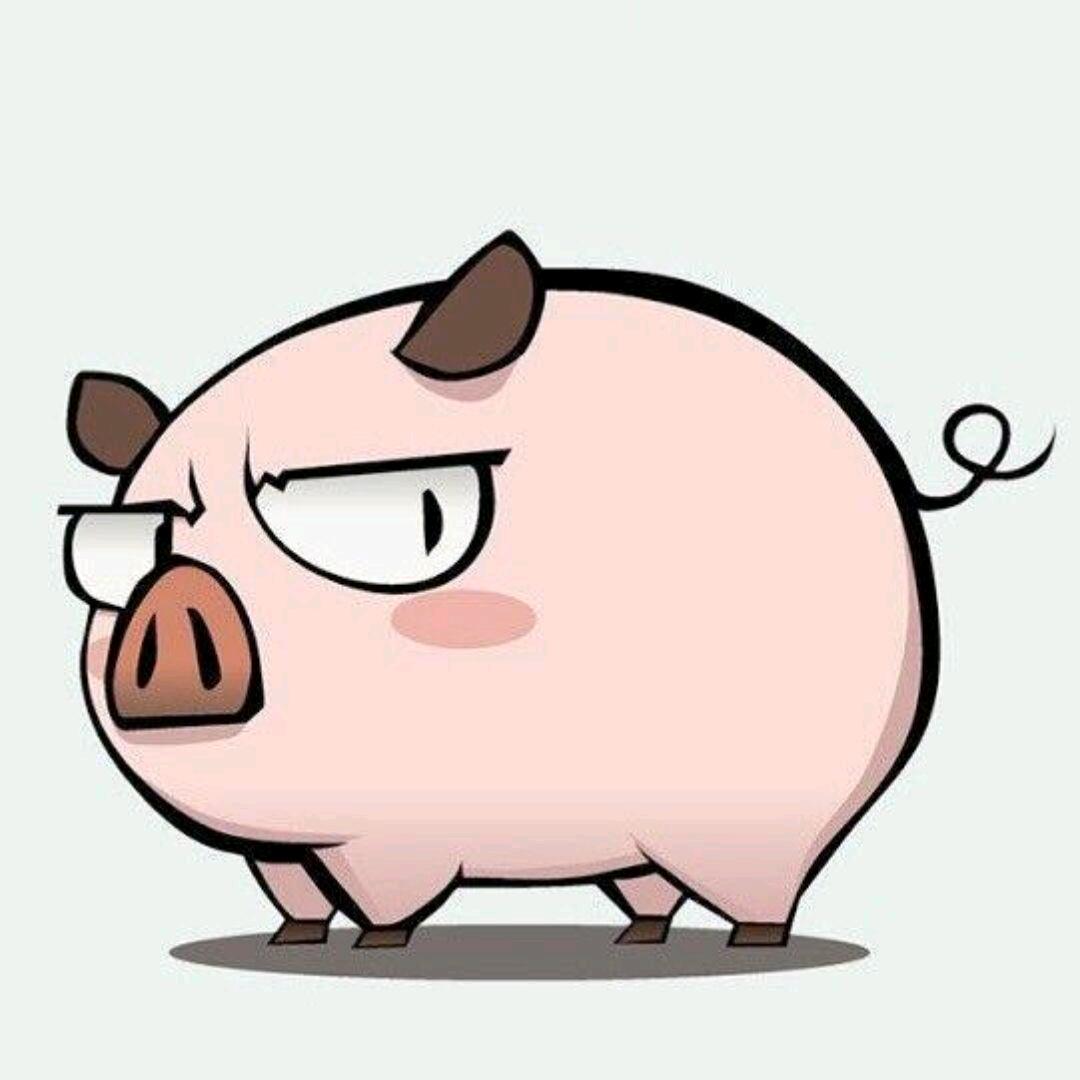 黄爷是一只爱上网的猪