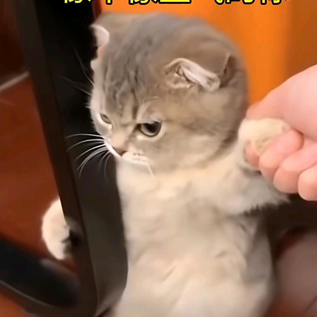 独舞人生
