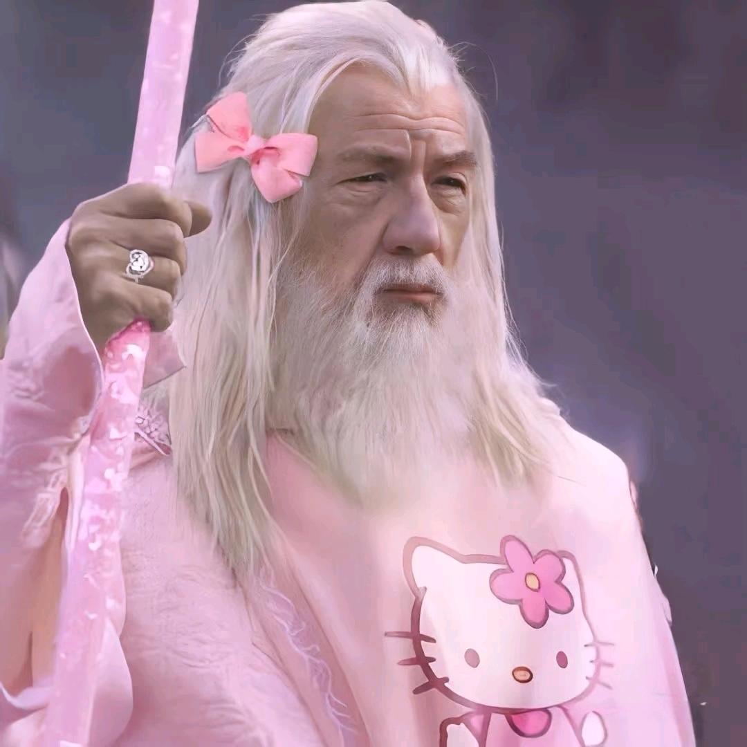 迪士尼在逃烧老头