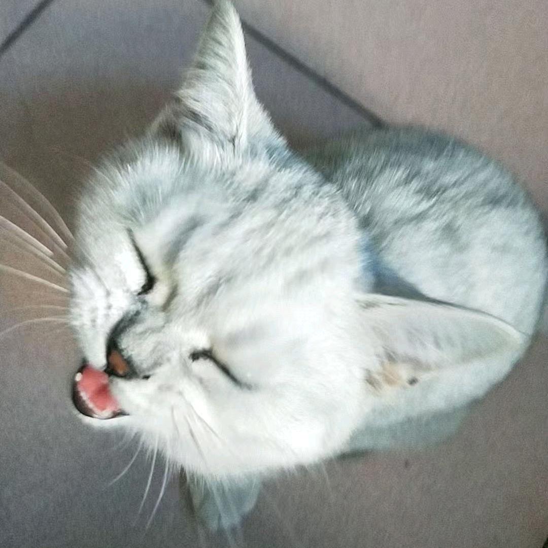 ℳঞ🍒未来可期꧔ꦿ᭄࿐ᩚ