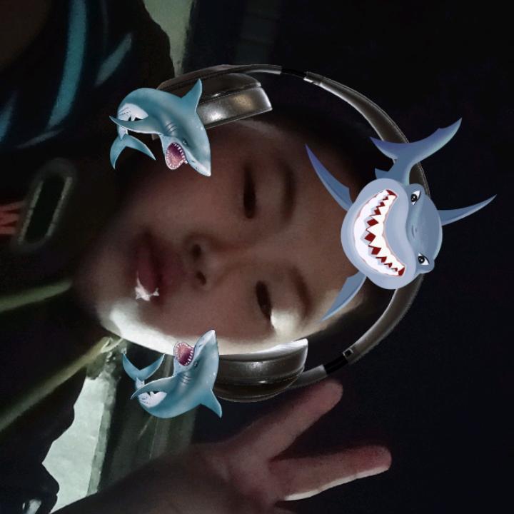 单身的女人