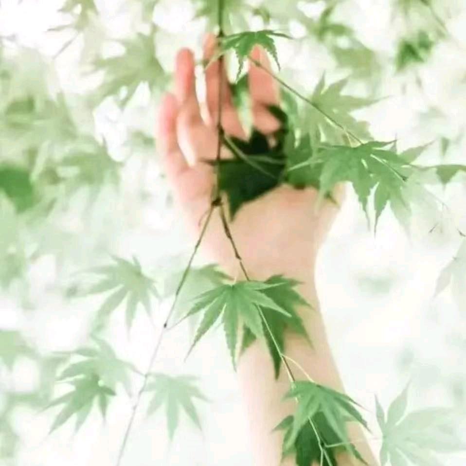 静好岁月