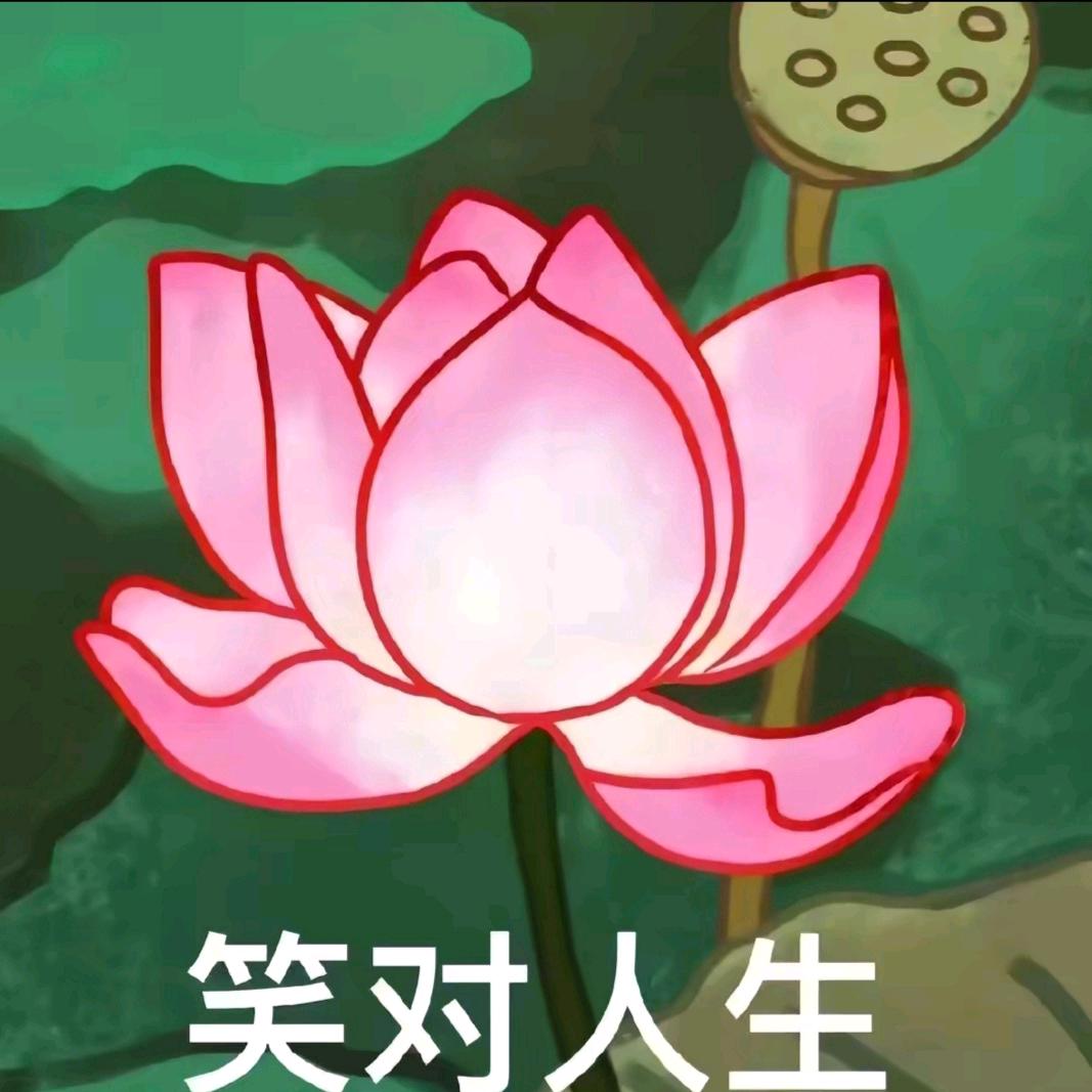 ☘️☘️万象皆春☘️☘️幸运相随