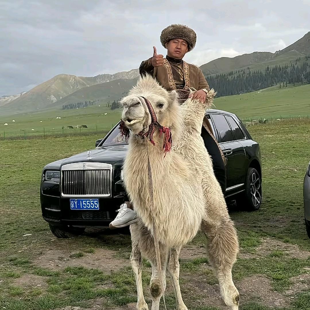 ㅤㅤㅤㅤㅤㅤㅤ汇盛车业🚗 包泽宇_