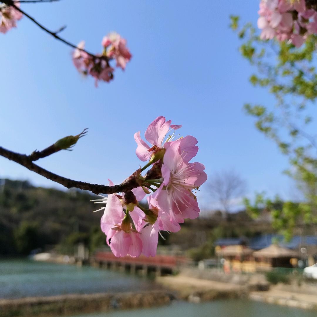 日月