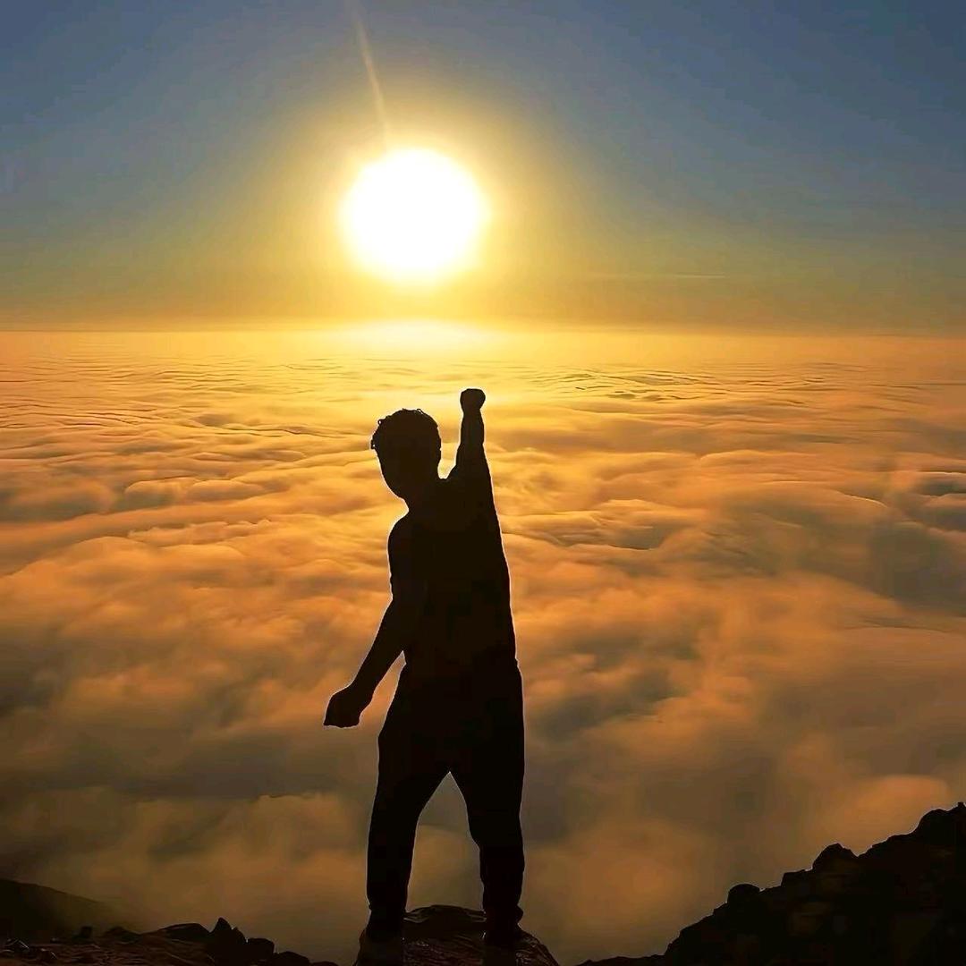 汉才楚杰上大学咨询组