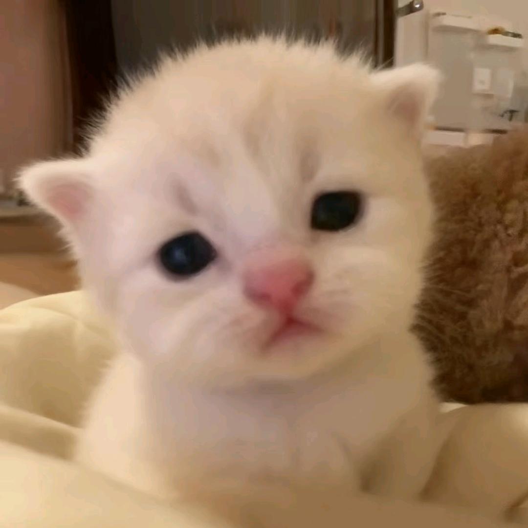 快乐的池塘里面有只小青蛙੭