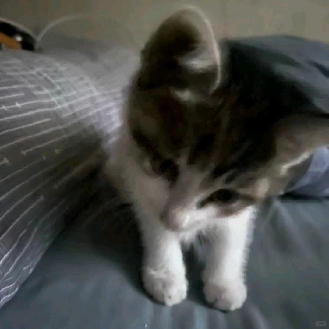 素颜