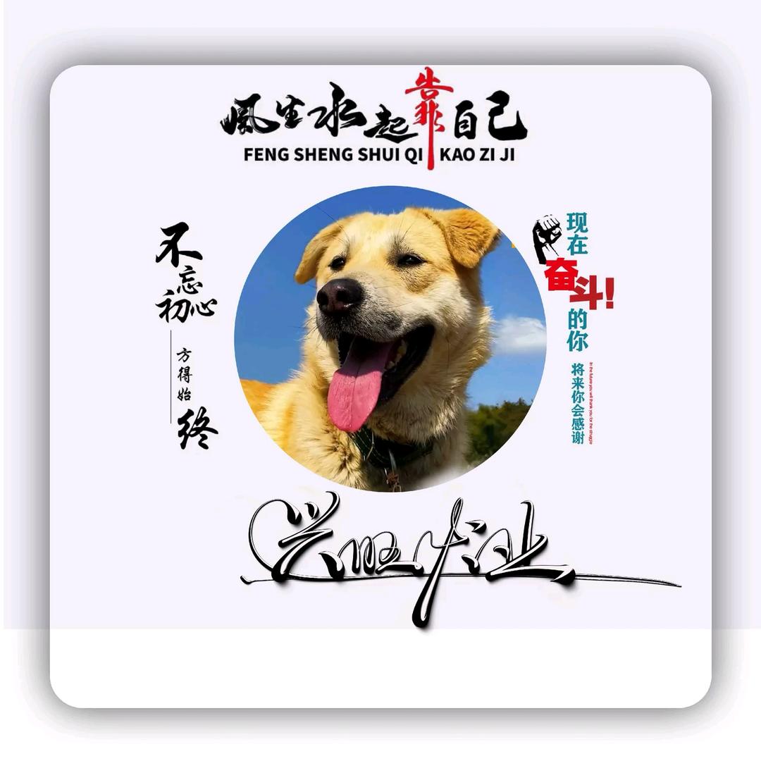 兴旺犬业
