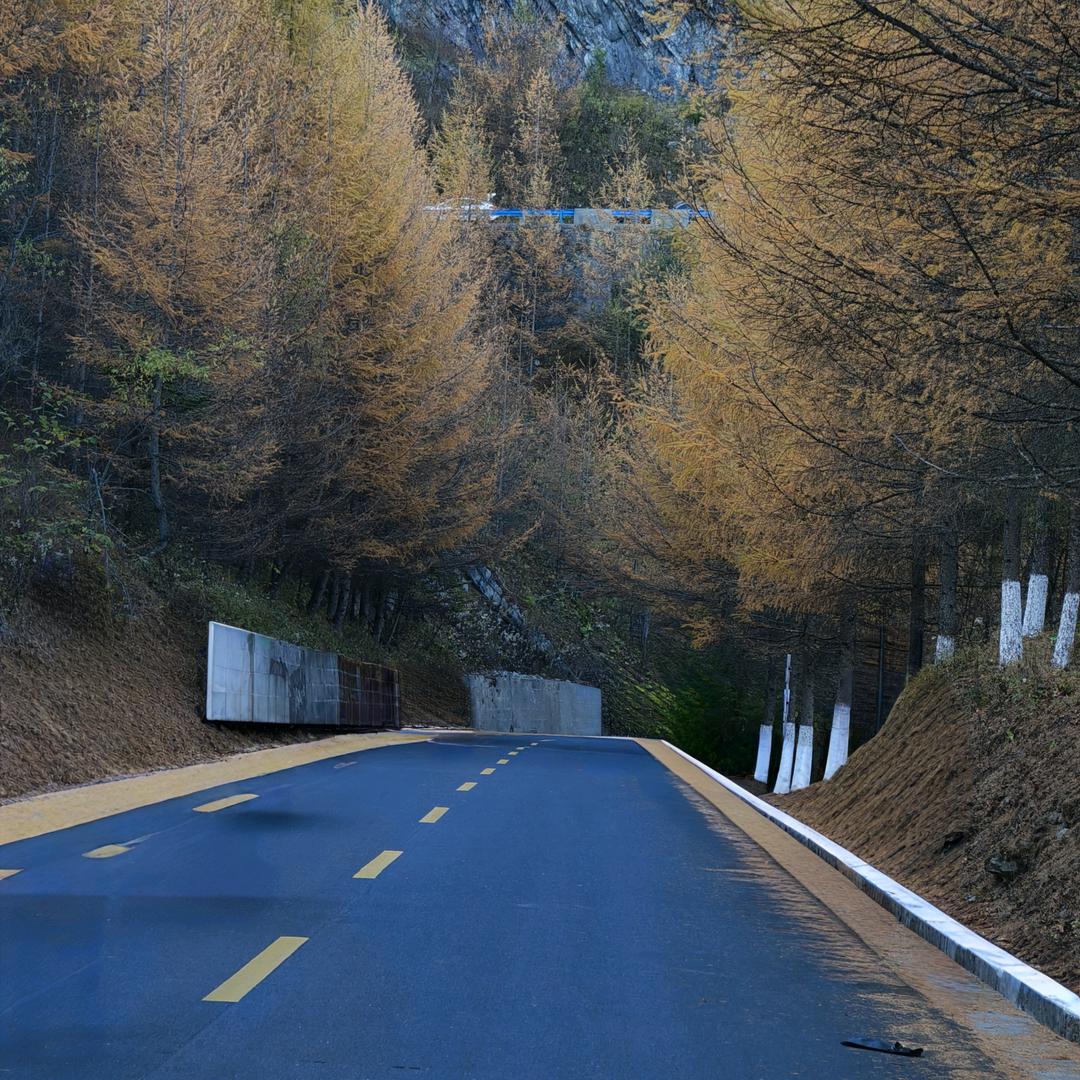 小宇（蝴蝶🦋）