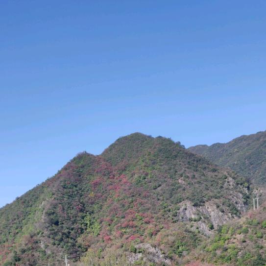 知足常乐