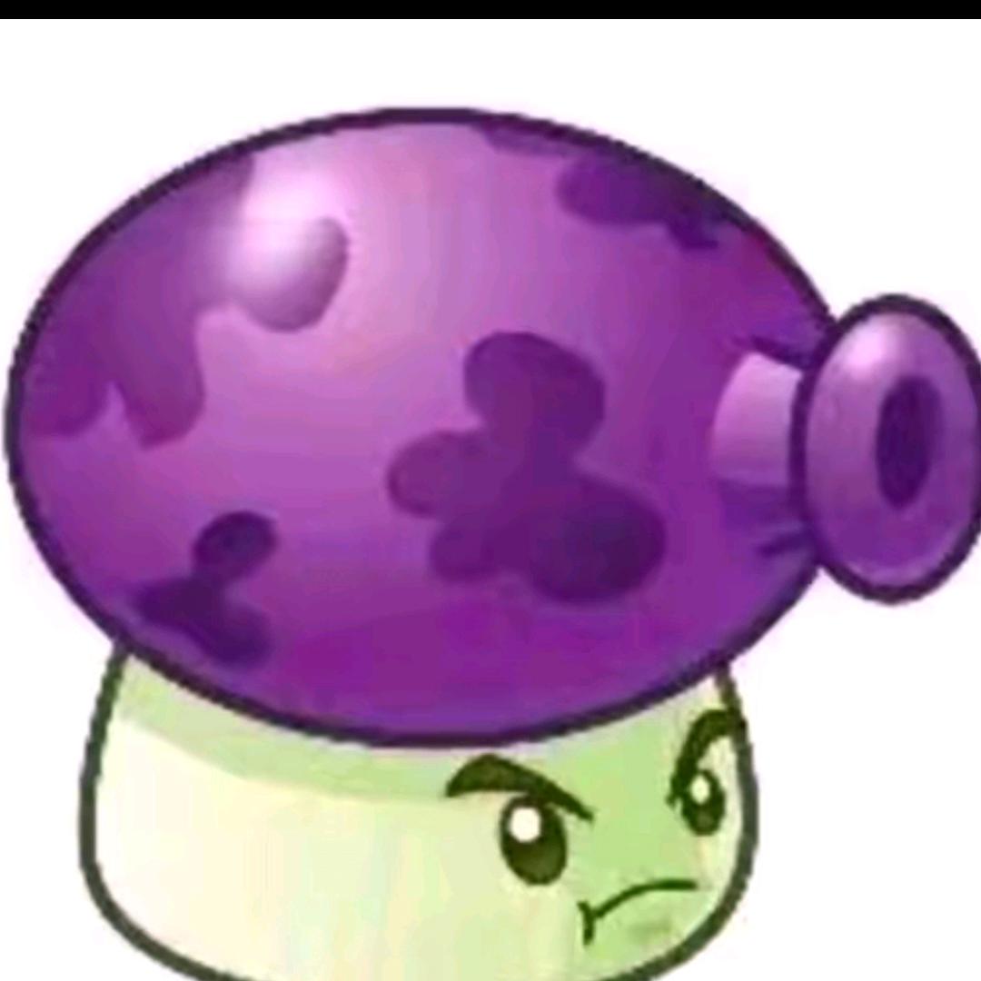 🟣🟣🟣🟣🟣🟣🟣🟣