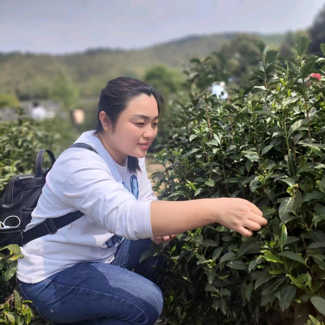 灯芯儿