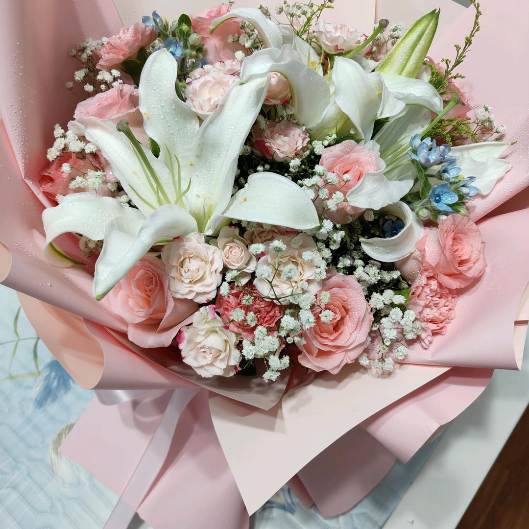 蝴蝶菲菲