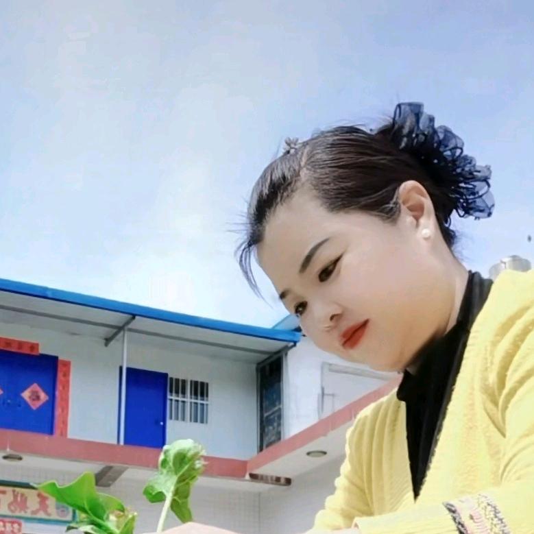 秀丽好物的橱窗