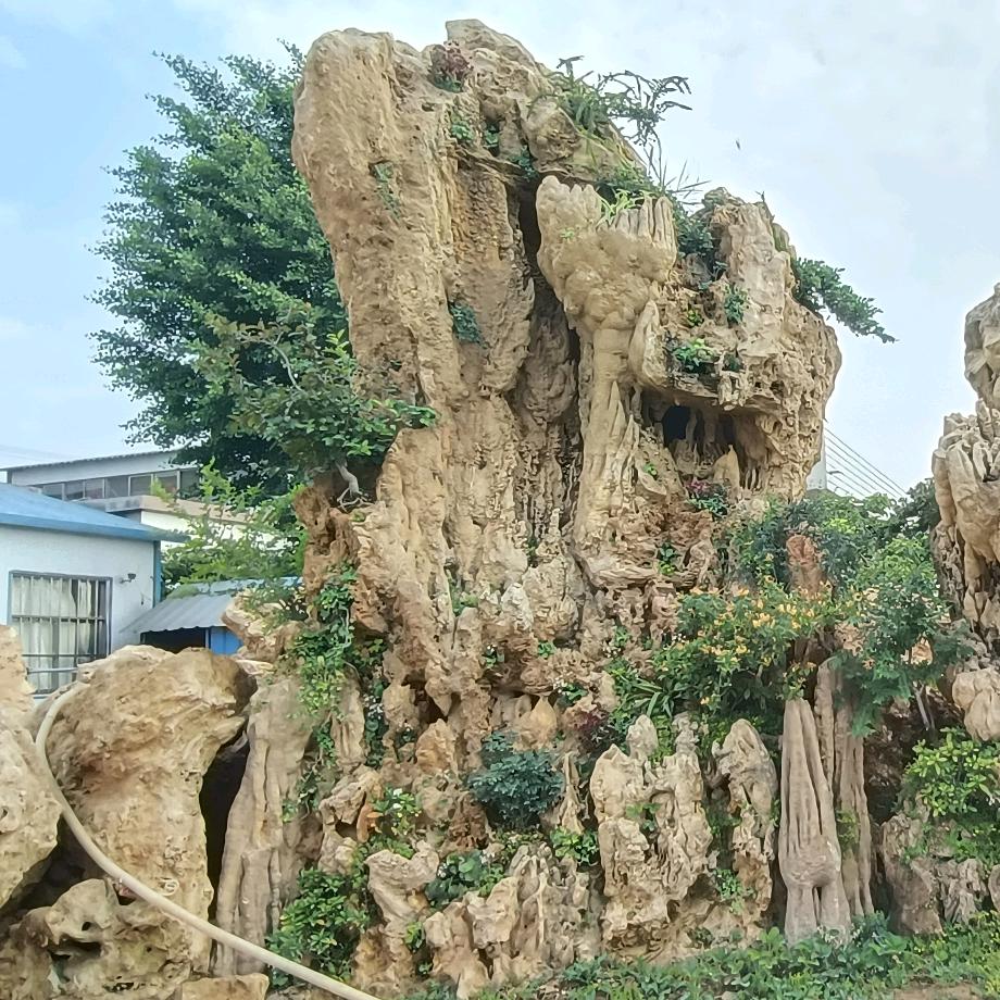 景森吸水石盆景