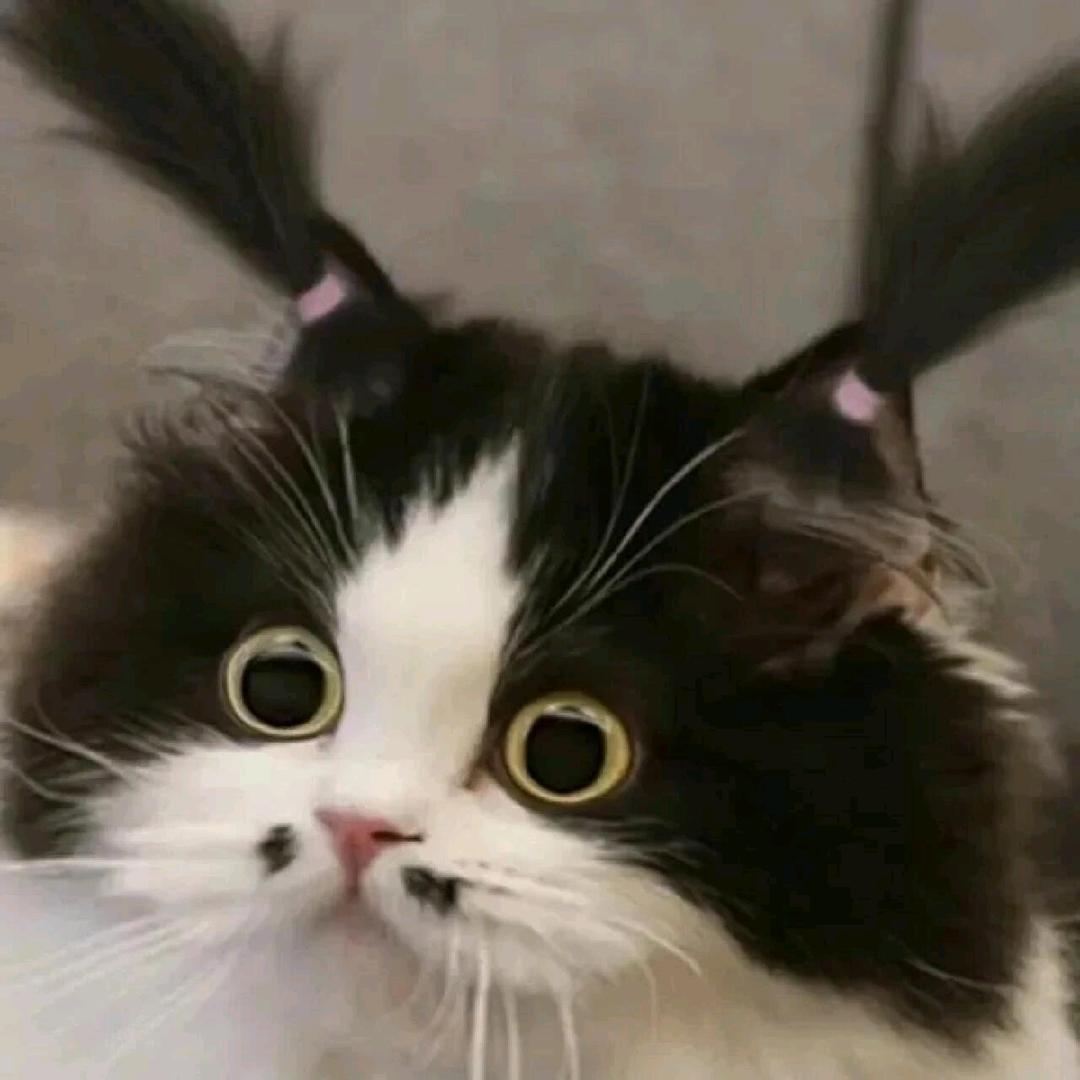 林子ᝰ