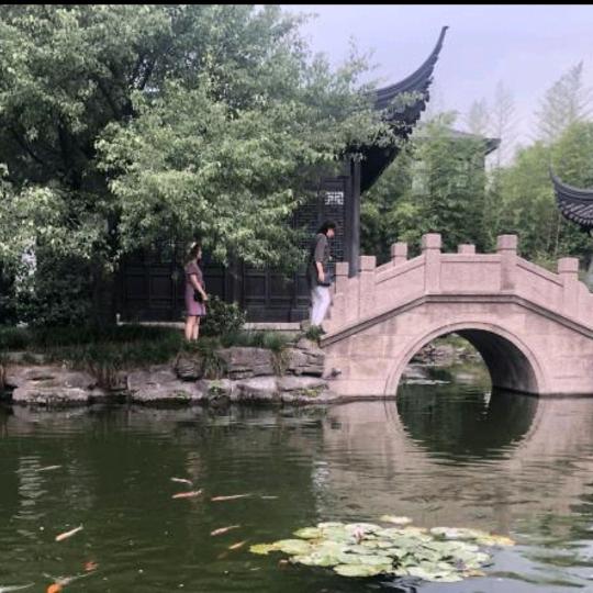 白云头像