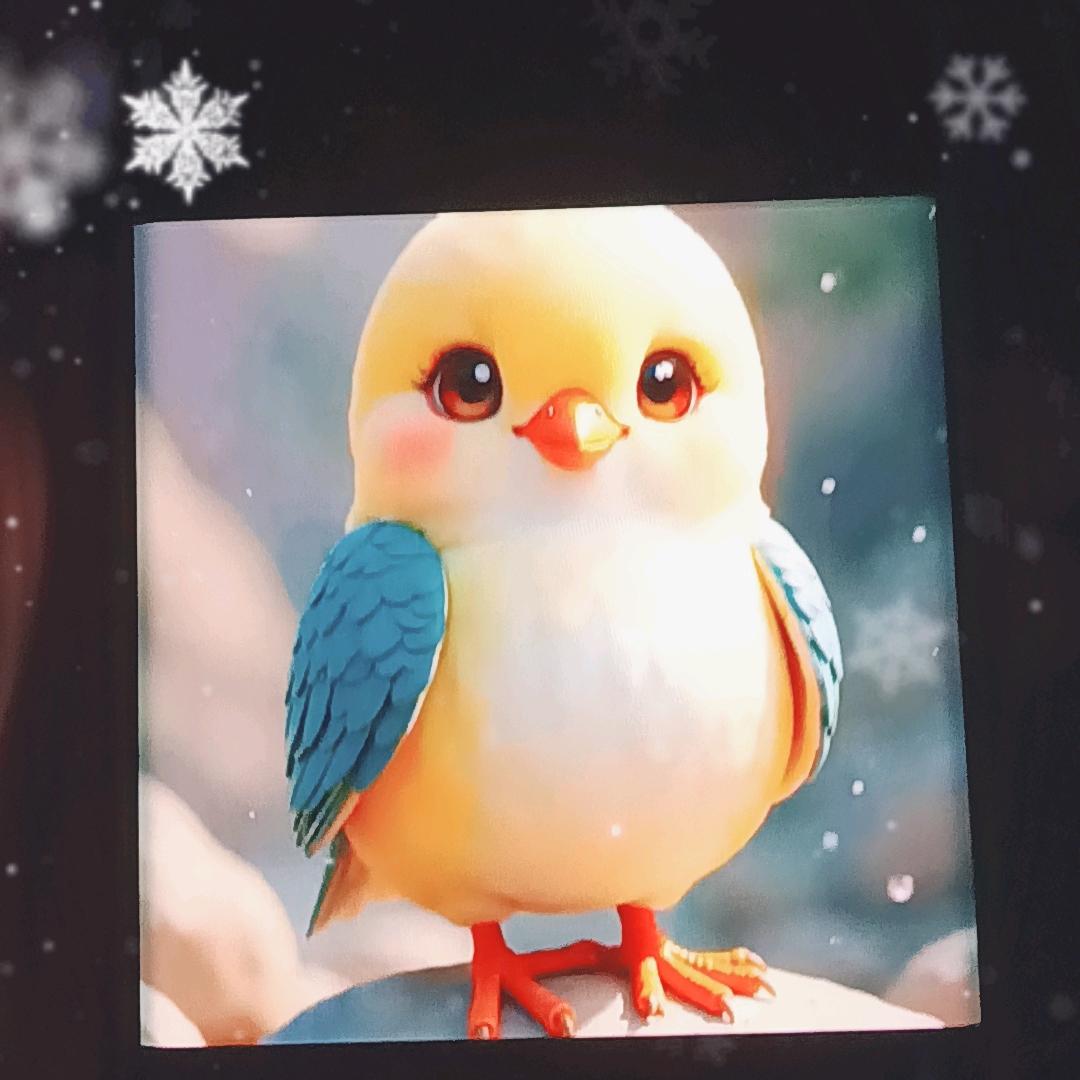 菜鸟也疯狂