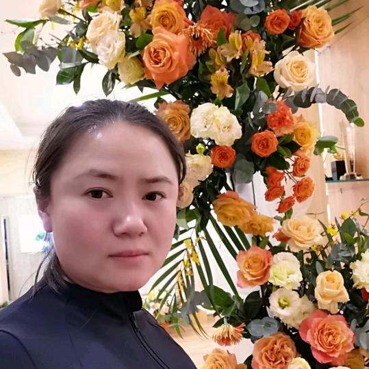 海燕燕子