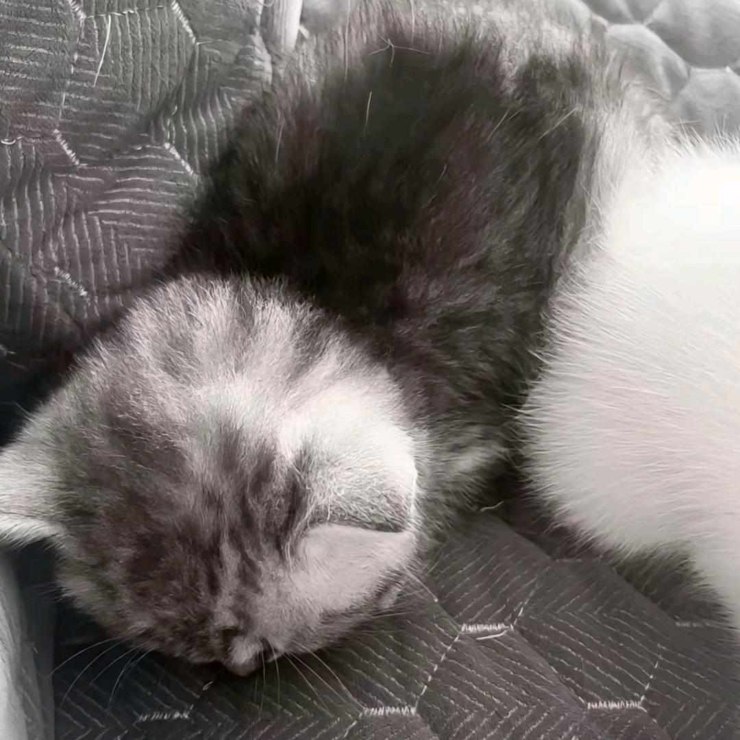 我的女朋友很可爱