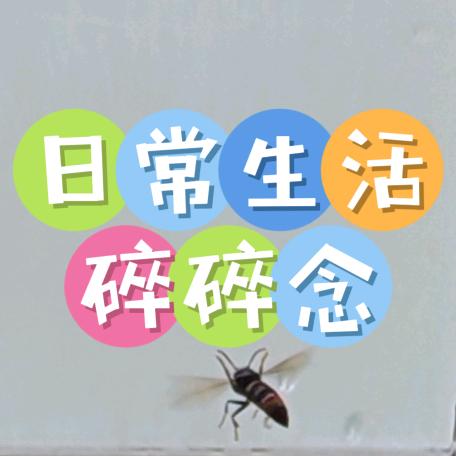 好好生活（评论必回评）