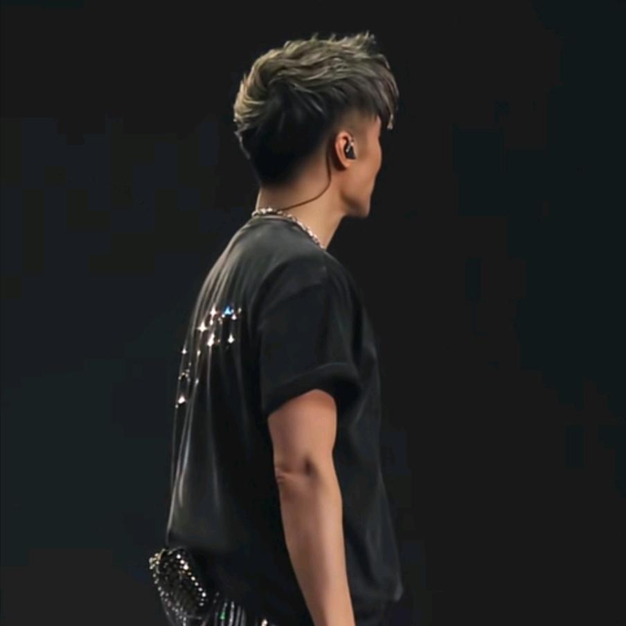 雷歌（致敬：霆锋哥）