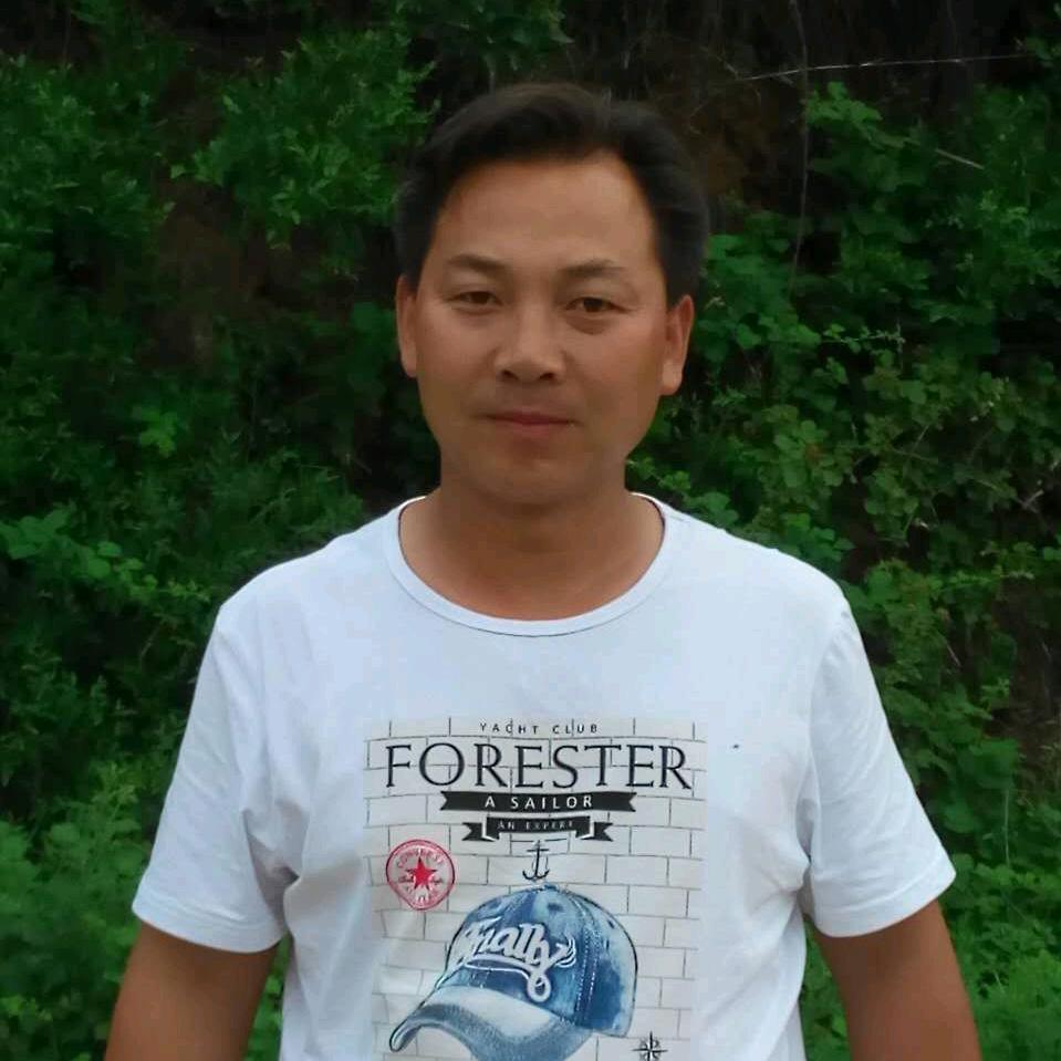 洛阳蜂教练