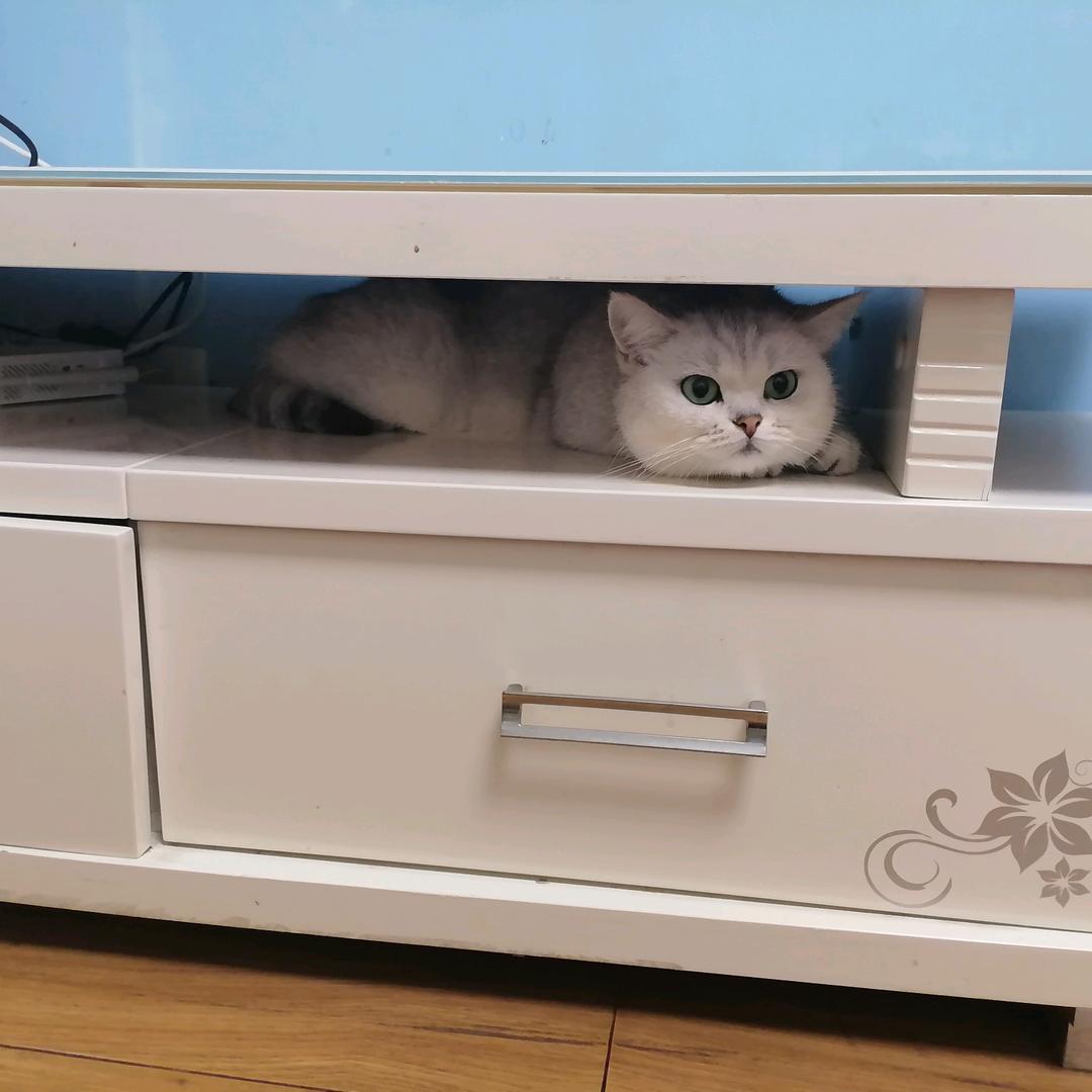 果然迷糊