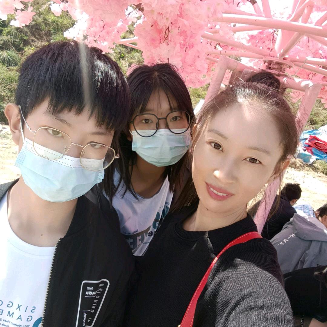 玫瑰花开