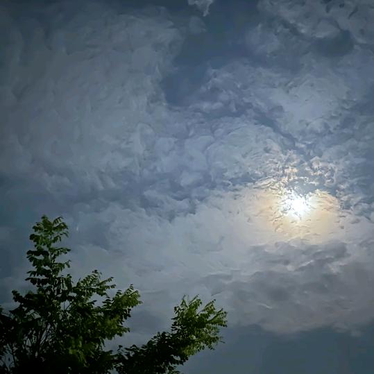 珍   惜