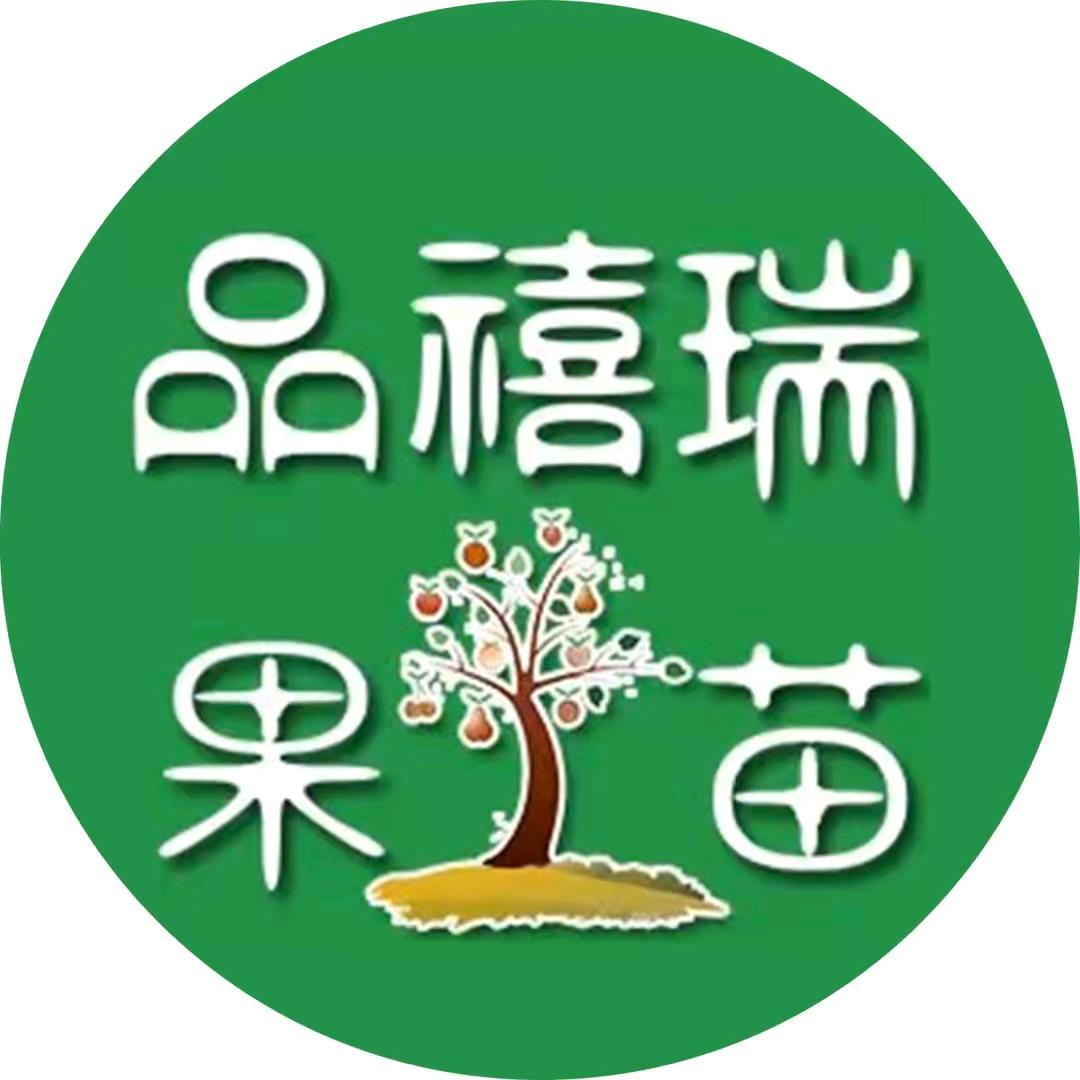 品禧瑞果苗