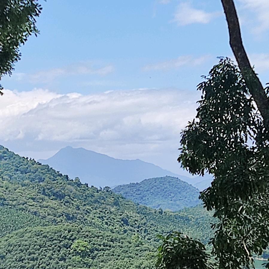 ʚྀིɞ向🌻家丫头🎊🏵️🎍