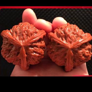 一枝花核桃异型