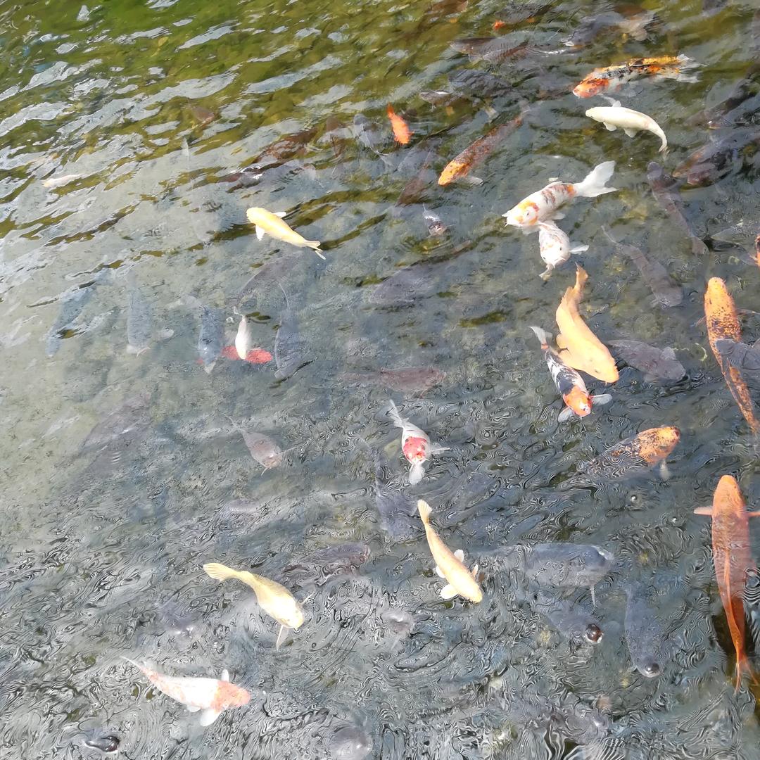 墨泽家