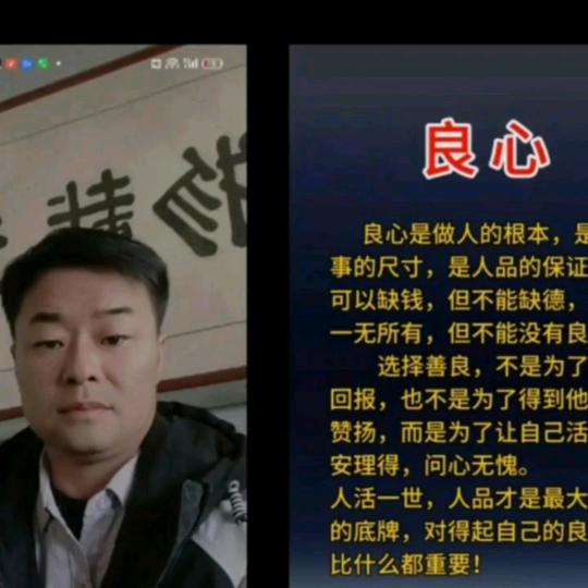 中药材丹参