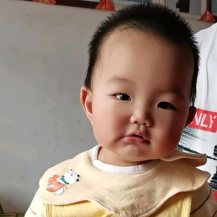 球球小宝贝