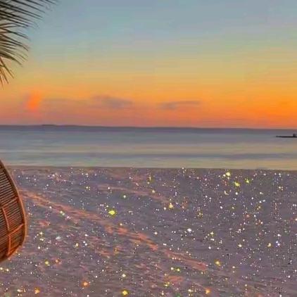 💞心向阳光🔥